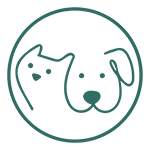 Your Pet Pawtrait